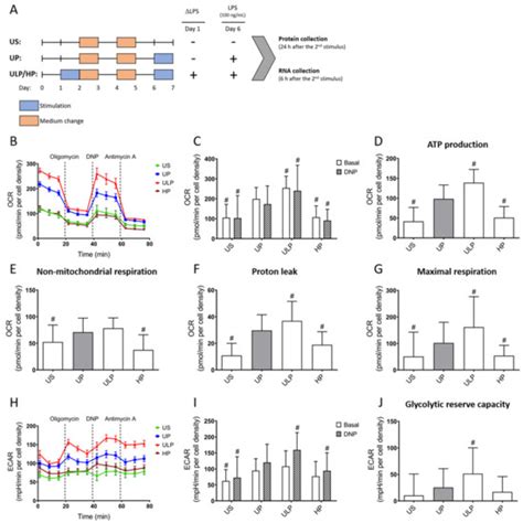 The Role of the Pathogen Dose and PI3Kγ in Immunometabolic ...