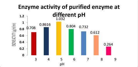 Image result for PH and Enzyme Function