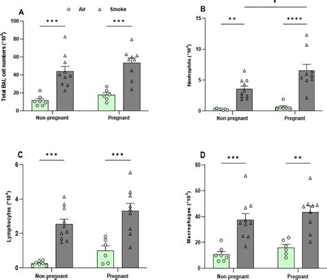 Frontiers | Pregnancy exacerbates neutrophil responses in murine lungs ...