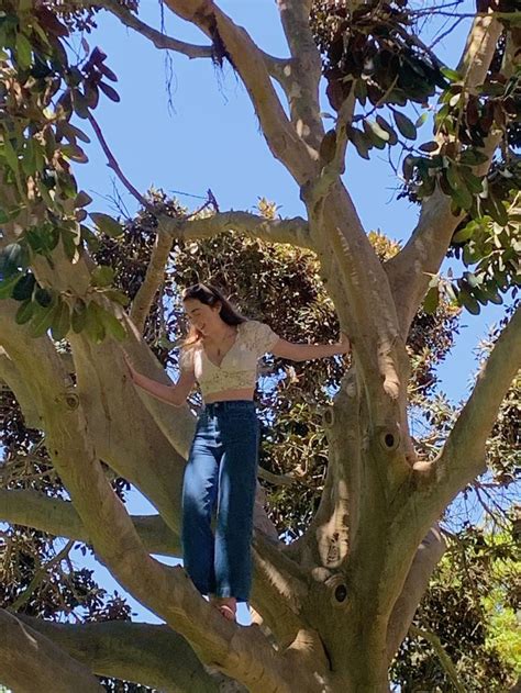 Climb That Tree 的图像结果