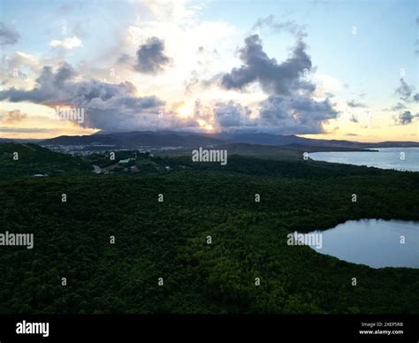 laguna grande drone view (bioluminescent bay fajardo puerto rico) bio ...