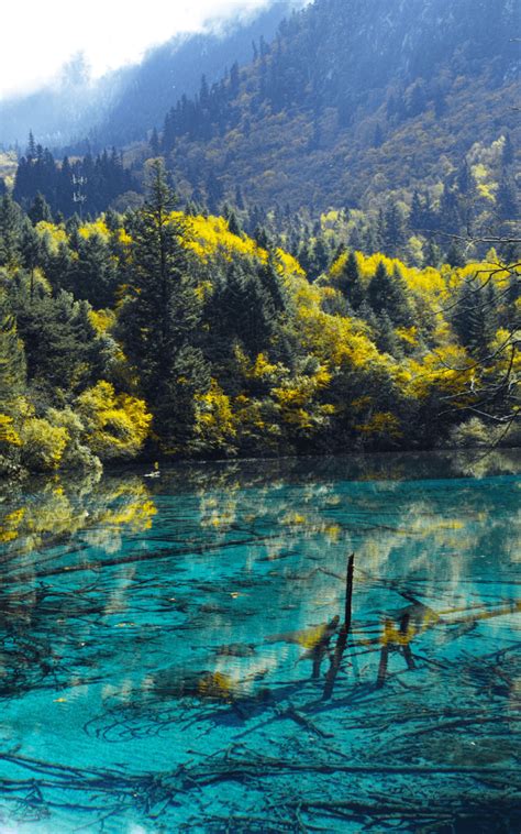 China Tourism 的图像结果