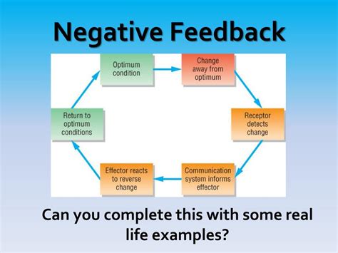Image result for 4 Components of a Negative Feedback
