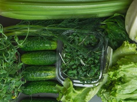 Eating Organically Grown Food 的图像结果