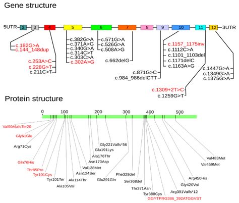 Clinical and Genetic Characteristics of Pediatric Patients with ...