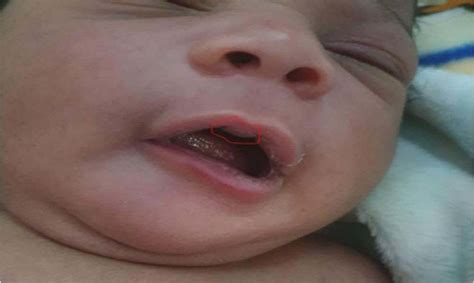 Hot interview and dick sucking with Big Dick Sucking Lip Autumn Luvit