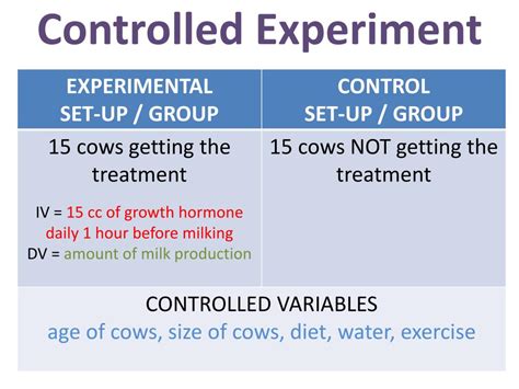 Image result for Controlled Experiment Explained