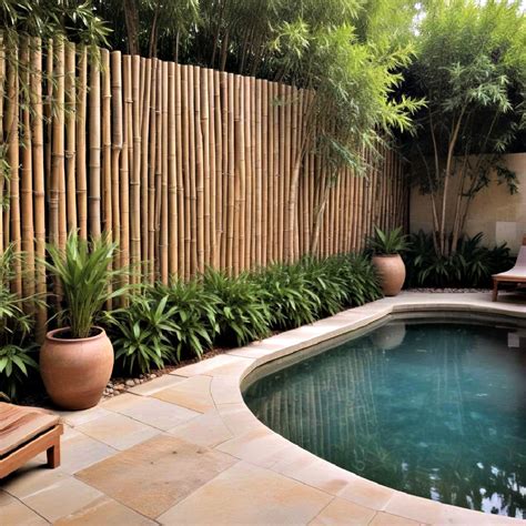 15 Pool Privacy Ideas for Your Exclusive Enclave
