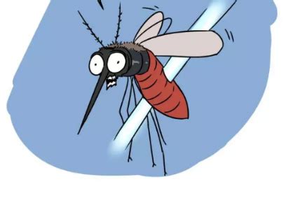 蚊子在多少度会冻死？_百度知道