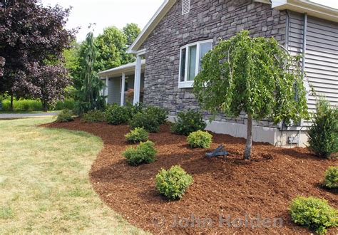 Freshly mulched bed with shrubs. | Ranch landscaping ideas, Front yard ...