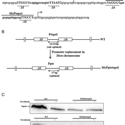 Image result for Topoi Module Communication