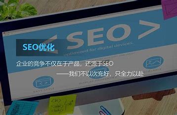 seo广告优化公司 的图像结果