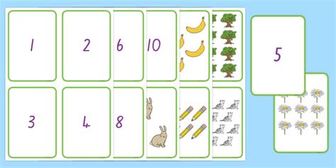 1-10 Number and Quantity Matching Cards (teacher made)
