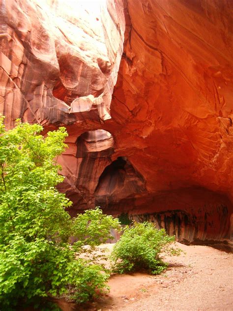 Weather Escalante Ut