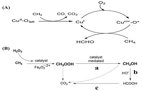 Methane Oxidation over the Zeolites-Based Catalysts