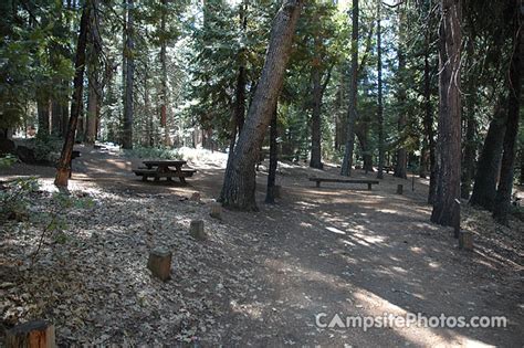 Image result for Stumpy Meadows Map