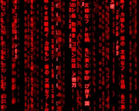 Red Matrix Code Screensaver 的图像结果