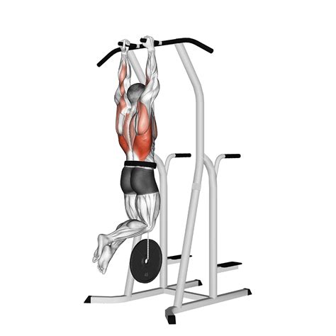 Neutral Grip Pull Up: Benefits, Muscles Worked, and More - Inspire US