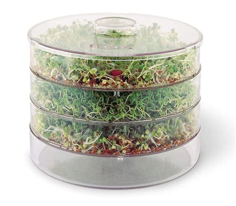 Buy Divyog Transparent Sprout Maker Container Hygienic Sprout Maker Jar ...