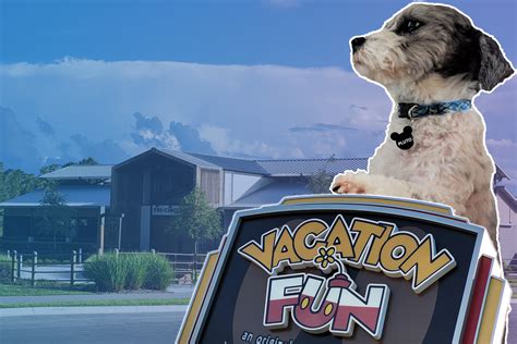 Tips For DVC Pet-Friendly Resorts - DVC Shop