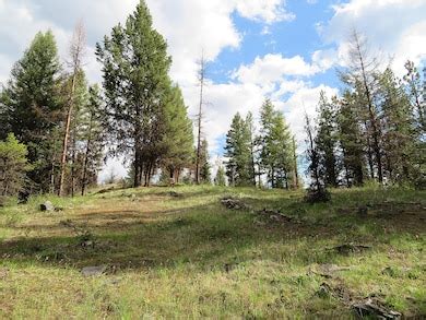 40 Excelsior Way, Curlew, WA 99118 [Lot/Land] | Homes.com
