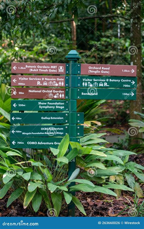 Vertical Closeup of Information Signs at Botanic Garden Trees Blurred ...