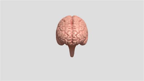 Image result for Brain Machine Learning Vector