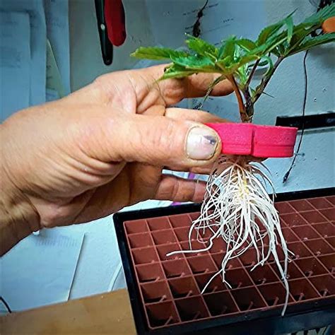 Cloning Machine 的图像结果