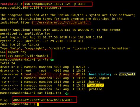 Hack the Wakanda: 1 (CTF Challenge) - Hacking Articles
