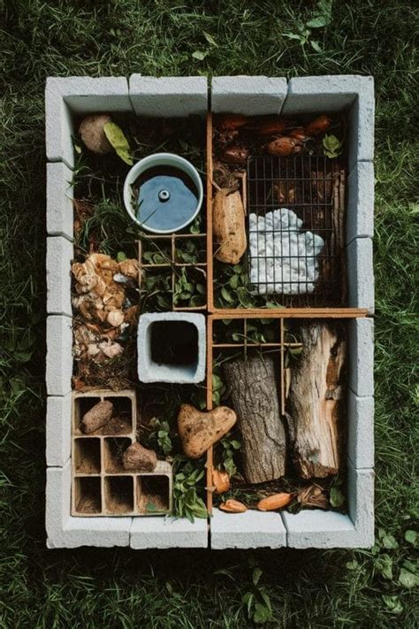 Image result for Box Turtle Homes