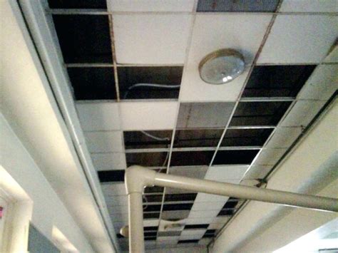 Cute Decorative Fluorescent Light Diffuser Panels – Madison Art Center ...