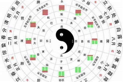 怎样算自己的卦命？2022年九宫飞星对应卦位_风水_若朴堂文化