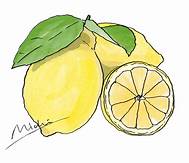 関連する画像の詳細をご覧ください。#レモン #lemon #botanical #croquis #illustration #ファッションイラスト #fruits #aloma #food | レモン イラスト, ラベンダー ...