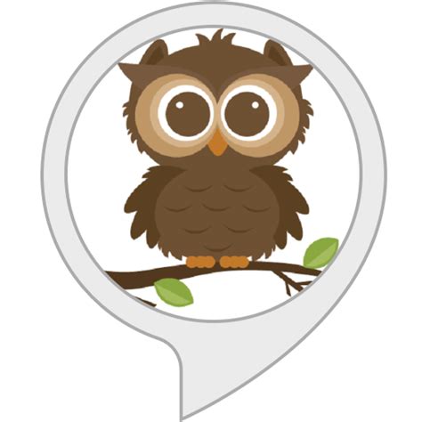 Amazon.in: Owl Facts : Alexa Skills