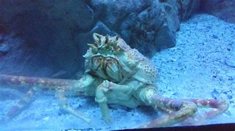 Two Oceans Aquarium, Cape Town