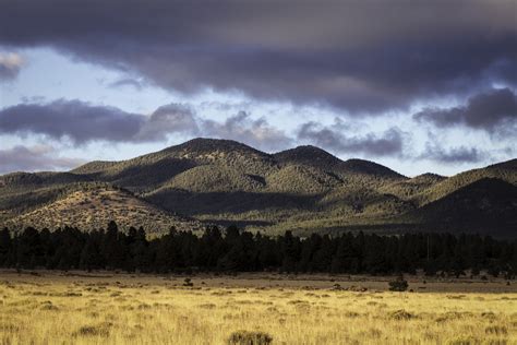 Elevation Of Williams Az