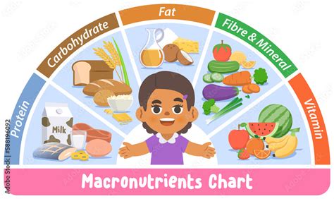 Image result for Macronutrients Graphics