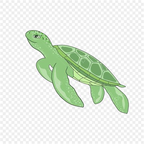 Sea Turtle Cartoon Clipart Transparent Background, Smiling Cartoon Sea ...