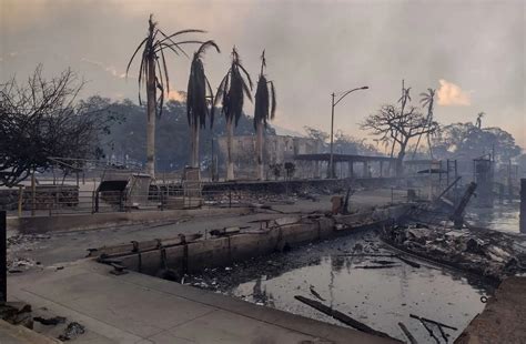 At Least 36 Killed In Devastating Hawaii Wildfires; Dozens Escape By ...