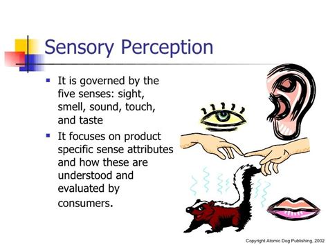 Image result for Sensory Memory Example