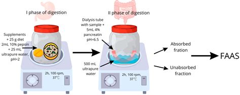 Influence of Diet on the Bioaccessibility of Zn from Dietary ...