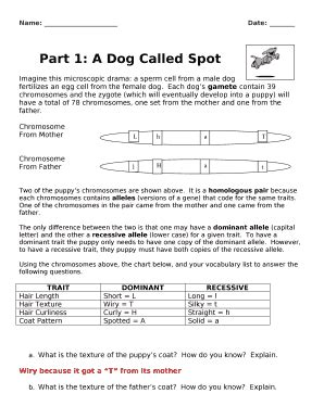 Genetics Worksheet - Blank Fillable Template | Fill Out, Print ...