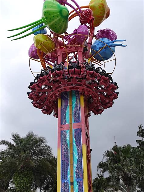 Drop Things Form High Building 的图像结果