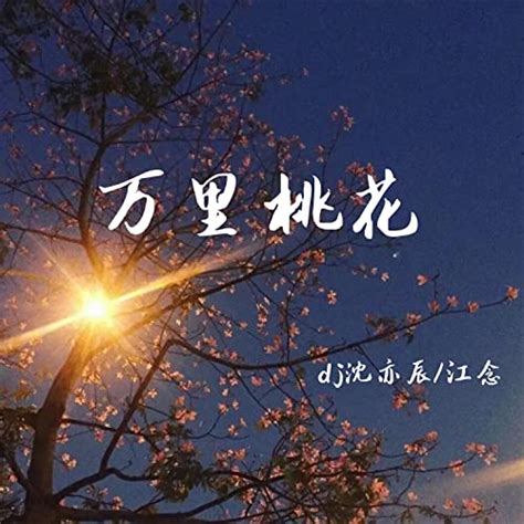 Amazon Music - DJ沈亦辰, 江念の万里桃花 - Amazon.co.jp