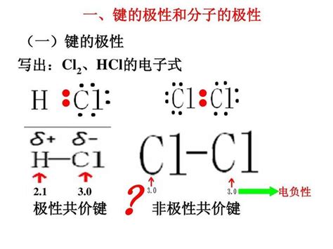 细胞核的功能_百度知道