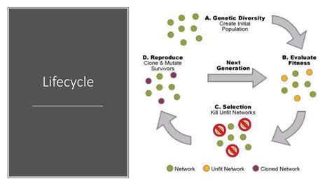 Genetic Algorithm Introduction.ppt 的图像结果