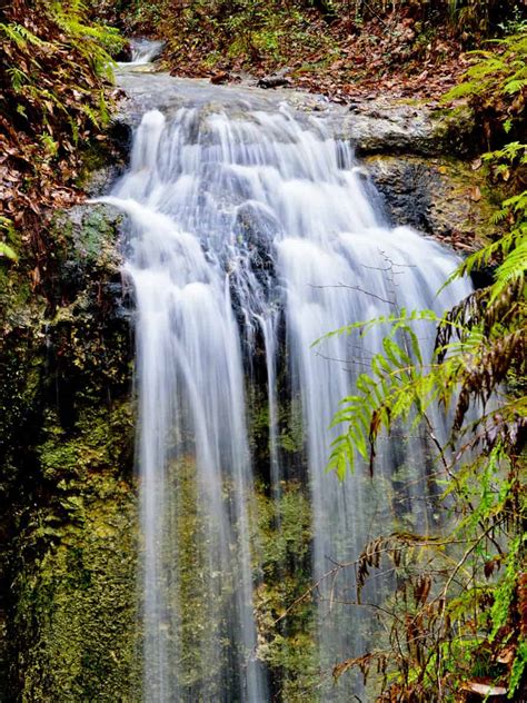 Image result for Florida State Waterfall Map