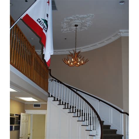 Canadian Antler Design Antler Chandelier 9-Light Brown Traditional ...