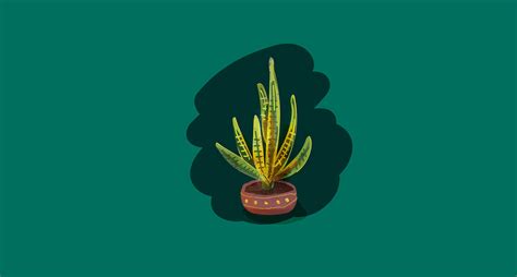 Potted Plants Asset on Behance