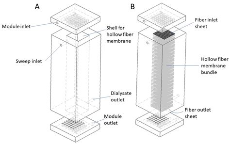 Evaluation of a Novel Cuboid Hollow Fiber Hemodialyzer Design Using ...